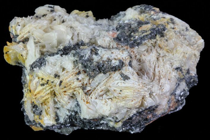 Cerussite Crystals with Bladed Barite on Galena- Morocco #74289